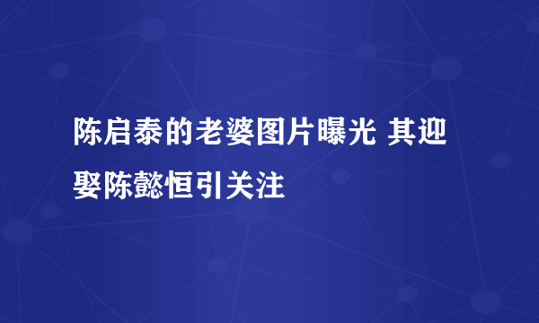 陈启泰的老婆图片曝光 其迎娶陈懿恒引关注