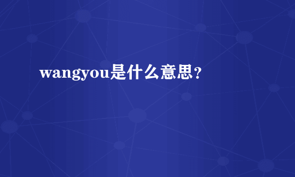 wangyou是什么意思？