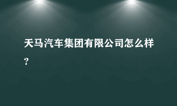 天马汽车集团有限公司怎么样？