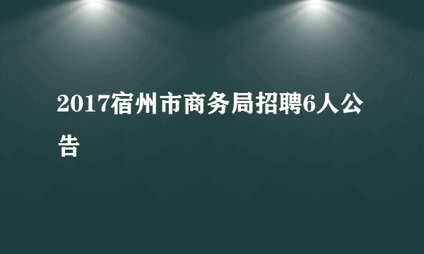 2017宿州市商务局招聘6人公告