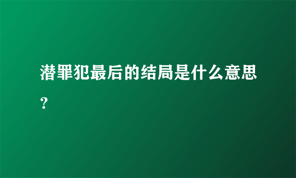 潜罪犯最后的结局是什么意思？