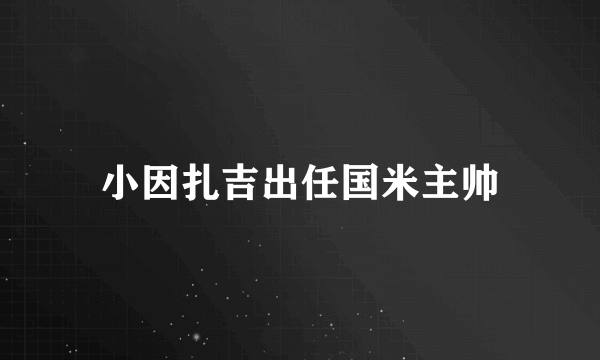 小因扎吉出任国米主帅