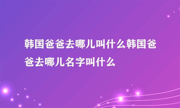 韩国爸爸去哪儿叫什么韩国爸爸去哪儿名字叫什么