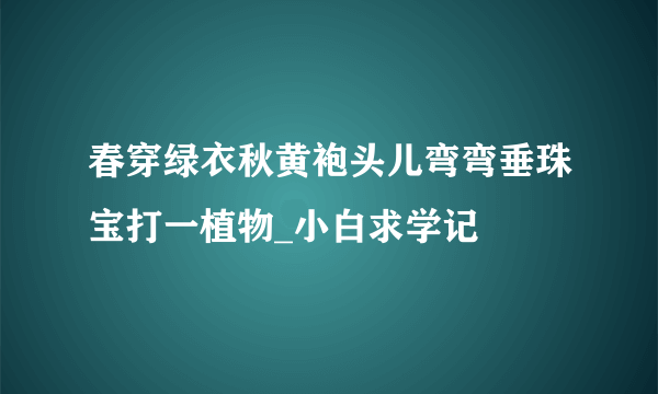 春穿绿衣秋黄袍头儿弯弯垂珠宝打一植物_小白求学记