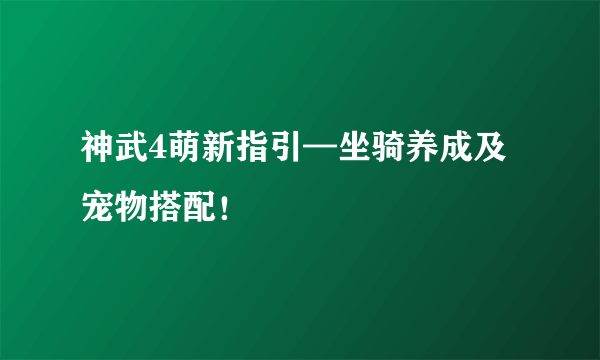 神武4萌新指引—坐骑养成及宠物搭配！