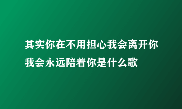 其实你在不用担心我会离开你我会永远陪着你是什么歌