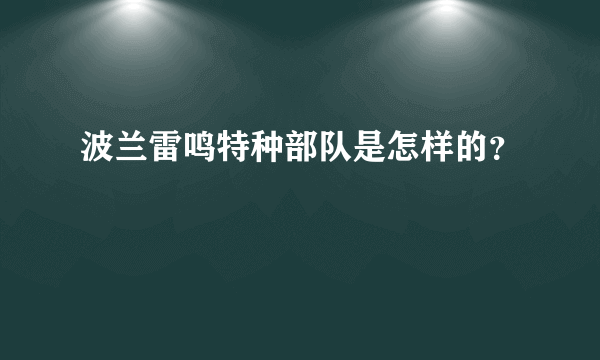 波兰雷鸣特种部队是怎样的？