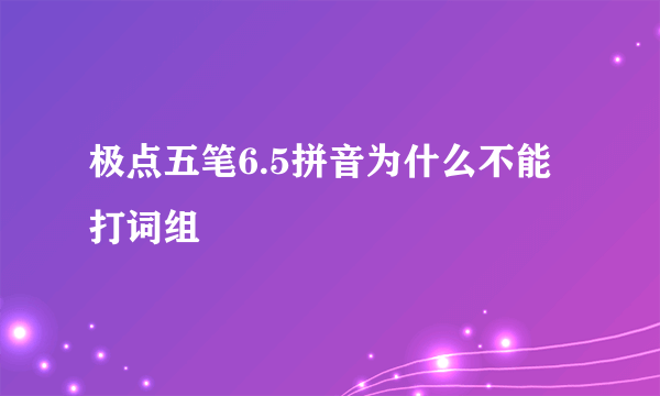 极点五笔6.5拼音为什么不能打词组