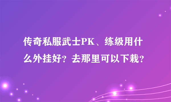 传奇私服武士PK、练级用什么外挂好？去那里可以下栽？