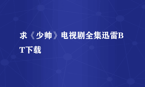 求《少帅》电视剧全集迅雷BT下载