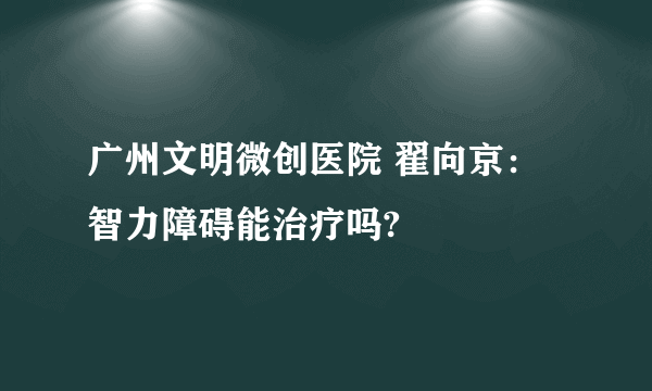 广州文明微创医院 翟向京：智力障碍能治疗吗?