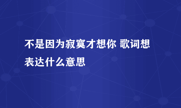 不是因为寂寞才想你 歌词想表达什么意思