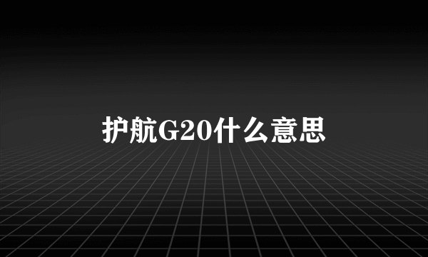 护航G20什么意思