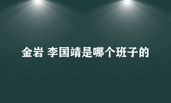 金岩 李国靖是哪个班子的