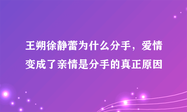 王朔徐静蕾为什么分手，爱情变成了亲情是分手的真正原因