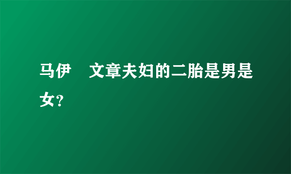 马伊琍文章夫妇的二胎是男是女？