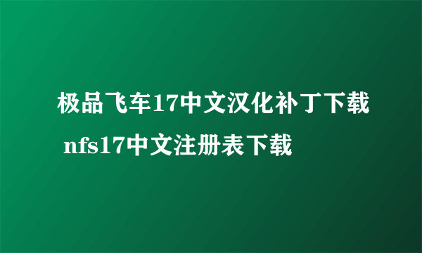 极品飞车17中文汉化补丁下载 nfs17中文注册表下载