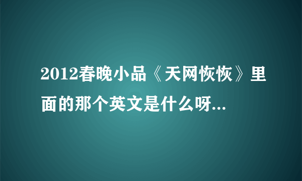 2012春晚小品《天网恢恢》里面的那个英文是什么呀？是啥意思呀？