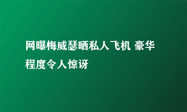 网曝梅威瑟晒私人飞机 豪华程度令人惊讶