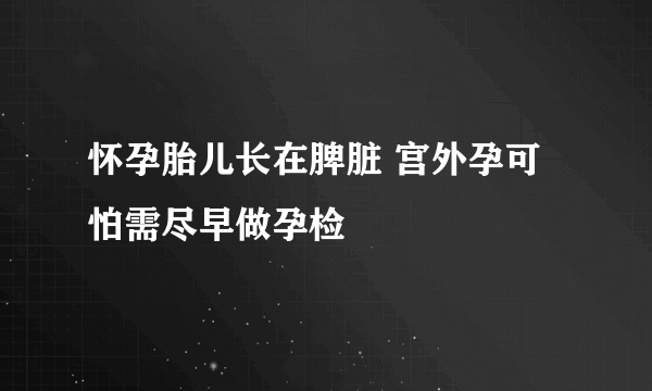 怀孕胎儿长在脾脏 宫外孕可怕需尽早做孕检