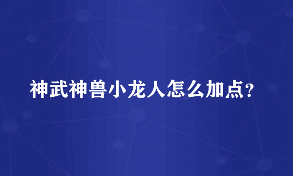 神武神兽小龙人怎么加点？