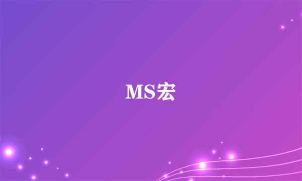 MS宏