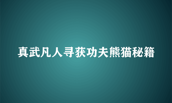 真武凡人寻获功夫熊猫秘籍