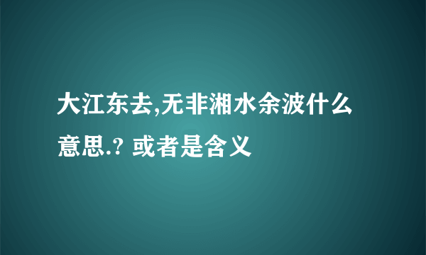 大江东去,无非湘水余波什么意思.? 或者是含义