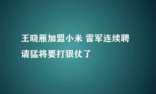 王晓雁加盟小米 雷军连续聘请猛将要打狠仗了