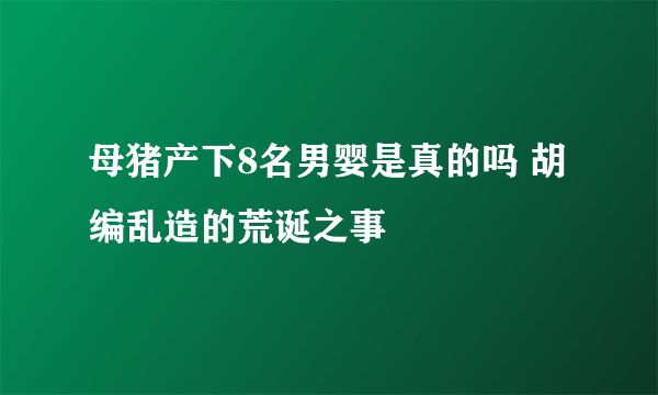 母猪产下8名男婴是真的吗 胡编乱造的荒诞之事