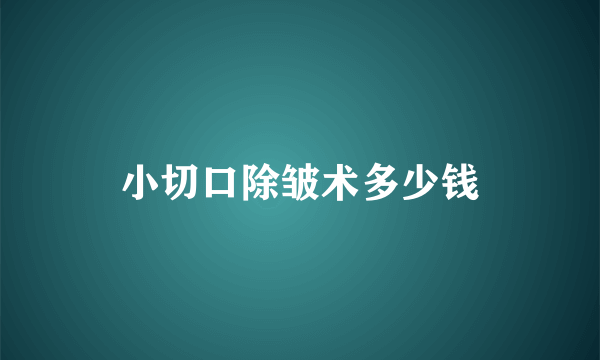 小切口除皱术多少钱