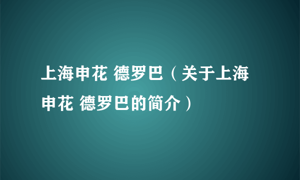 上海申花 德罗巴（关于上海申花 德罗巴的简介）