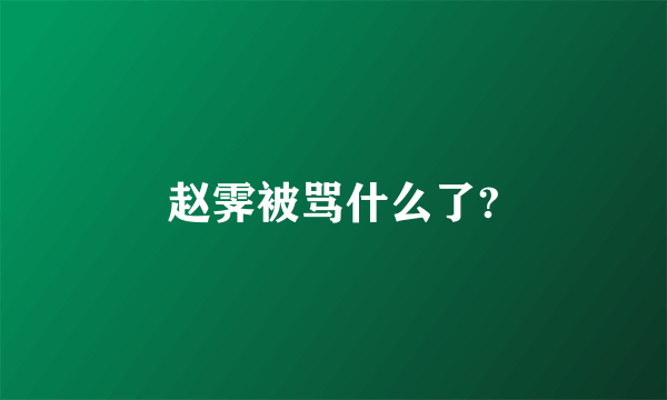 赵霁被骂什么了?