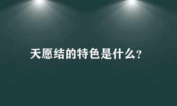 天愿结的特色是什么？