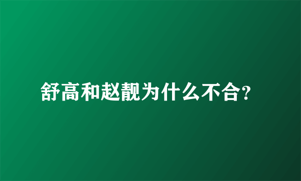 舒高和赵靓为什么不合？