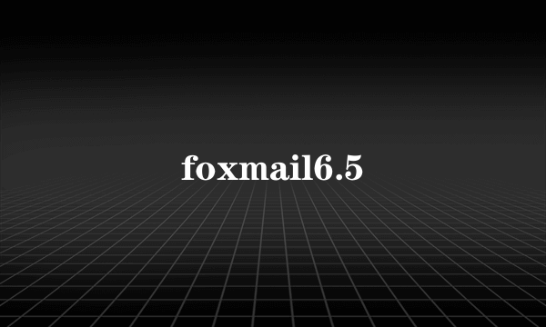 foxmail6.5