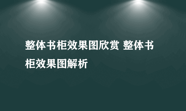 整体书柜效果图欣赏 整体书柜效果图解析