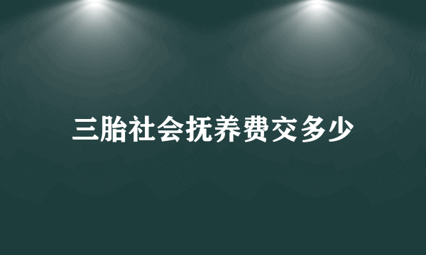 三胎社会抚养费交多少