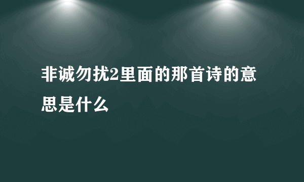 非诚勿扰2里面的那首诗的意思是什么