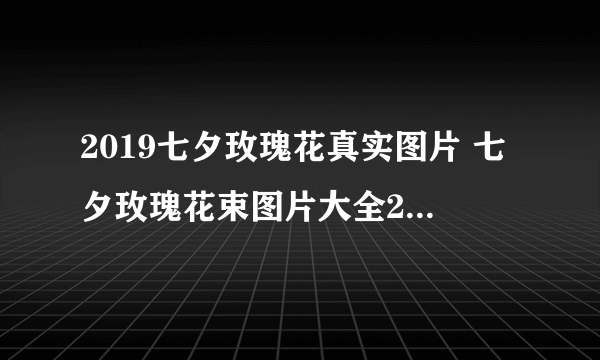 2019七夕玫瑰花真实图片 七夕玫瑰花束图片大全2019唯美