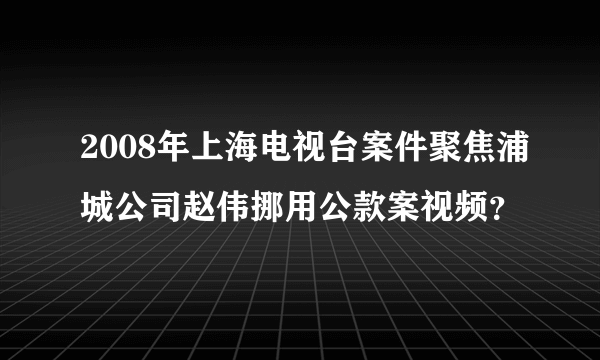 2008年上海电视台案件聚焦浦城公司赵伟挪用公款案视频？