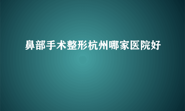 鼻部手术整形杭州哪家医院好