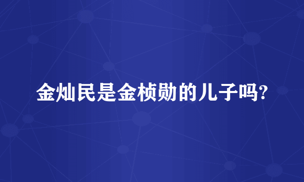 金灿民是金桢勋的儿子吗?