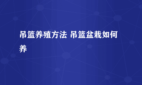 吊篮养殖方法 吊篮盆栽如何养