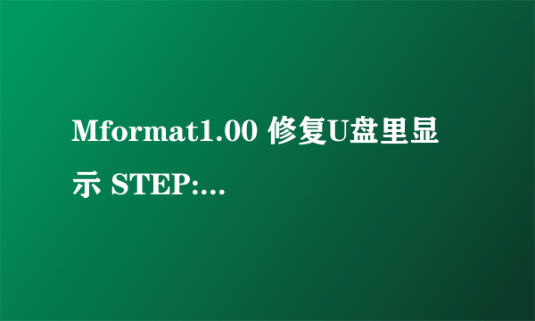 Mformat1.00 修复U盘里显示 STEP:device initialize ，是怎么回事？