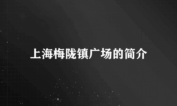 上海梅陇镇广场的简介