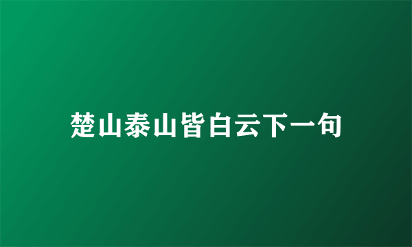 楚山泰山皆白云下一句