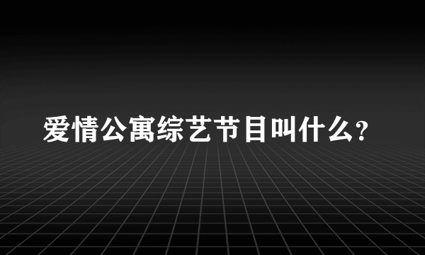 爱情公寓综艺节目叫什么？