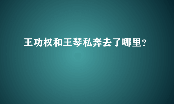 王功权和王琴私奔去了哪里？