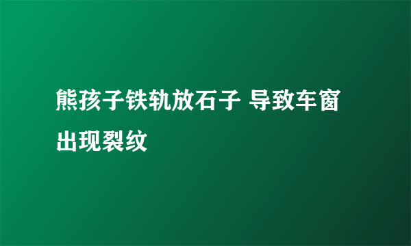 熊孩子铁轨放石子 导致车窗出现裂纹